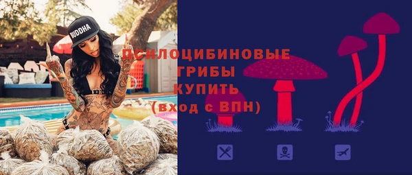 гидропоника Козловка