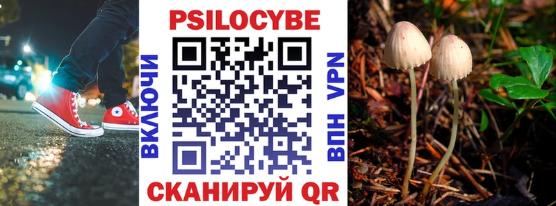 цена   Красный Сулин  Галлюциногенные грибы Psilocybine cubensis 
