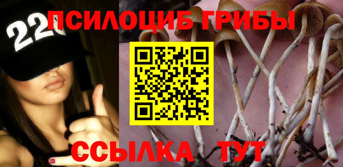Псилоцибиновые грибы Magic Shrooms Красный Сулин