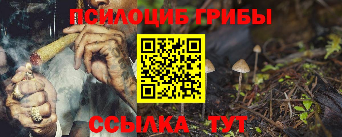 купить наркотик  Вход с VPN  Красный Сулин  Псилоцибиновые грибы Magic Shrooms 